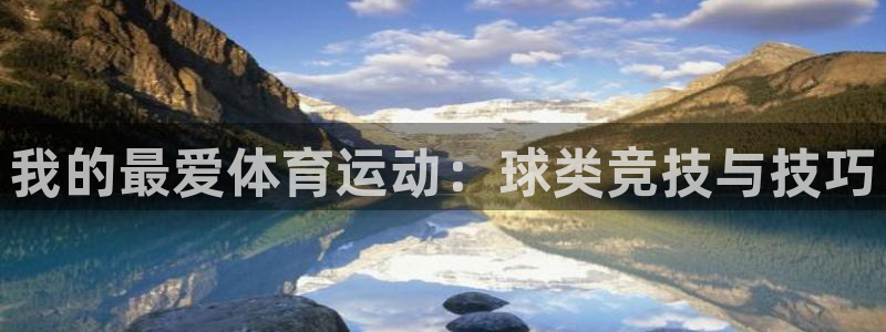 米兰体育网页版：我的最爱体育运动：球类竞技与技巧