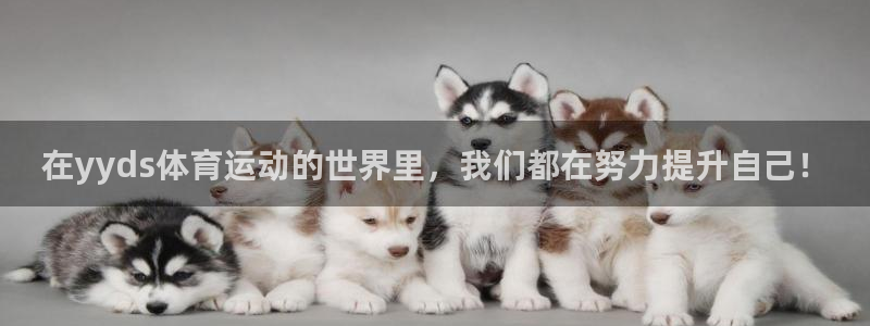 米兰体育靠谱吗：在yyds体育运动的世界里，我们都在努力提升自己！