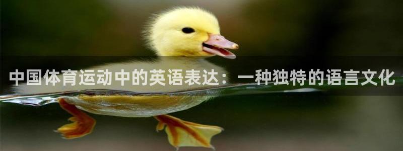 米兰体育怎么样