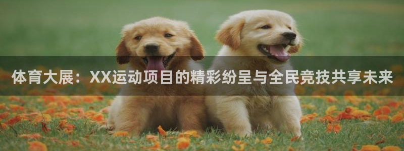 米兰体育登录：体育大展：XX运动项目的精彩纷呈与全民竞技共享未来