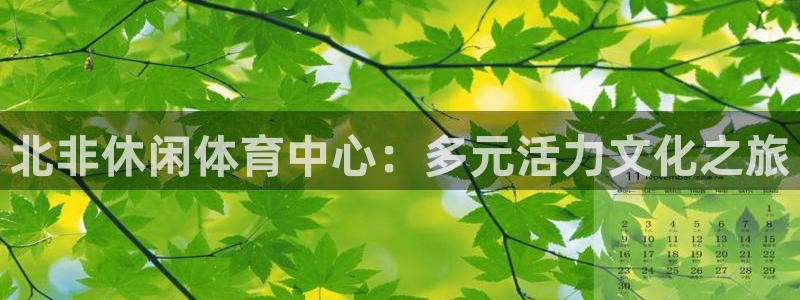 米兰体育网址：北非休闲体育中心：多元活力文化之旅