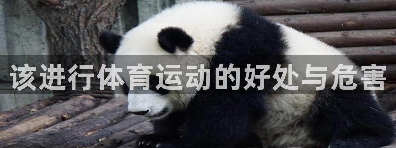 米兰体育下载官网最新版：该进行体育运动的好处与危害