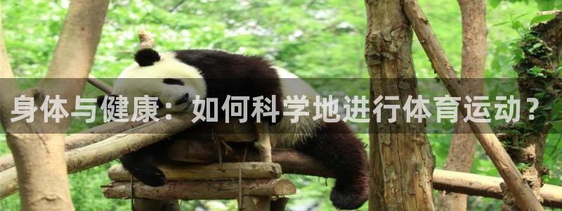 米兰体育app下载：身体与健康：如何科学地进行体育运动？